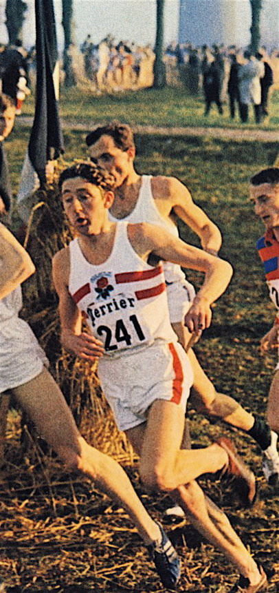 Ron Hill Women's Brief – Easy Runner